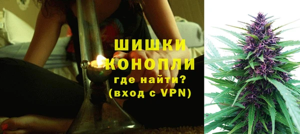 первитин Новозыбков